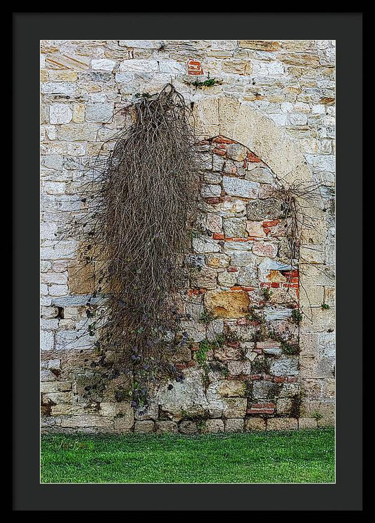 City Wall of Pisa - Framed Print