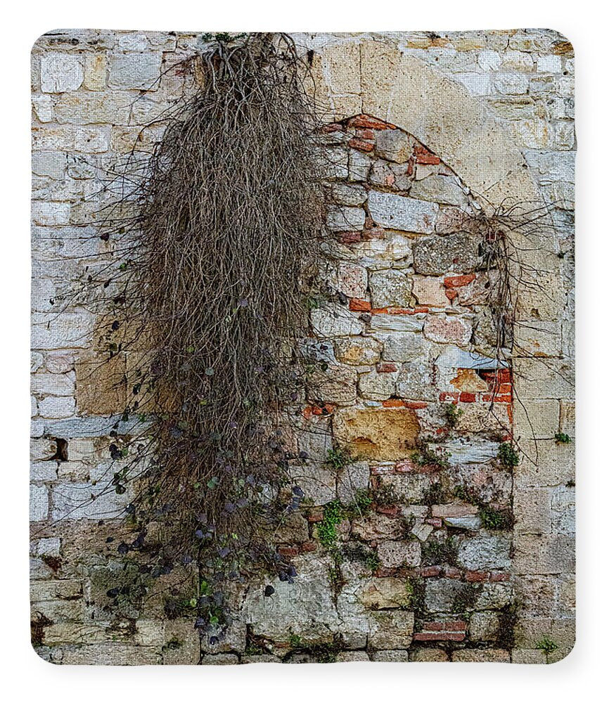 City Wall of Pisa - Blanket