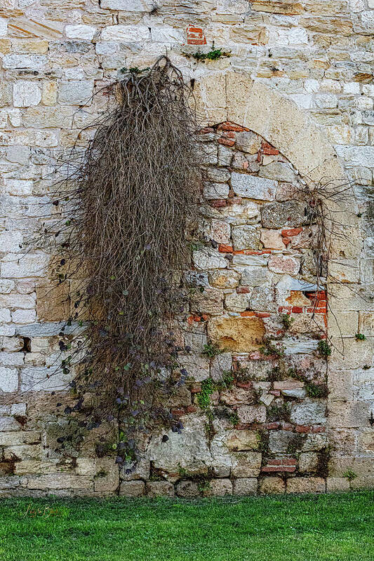 City Wall of Pisa - Art Print