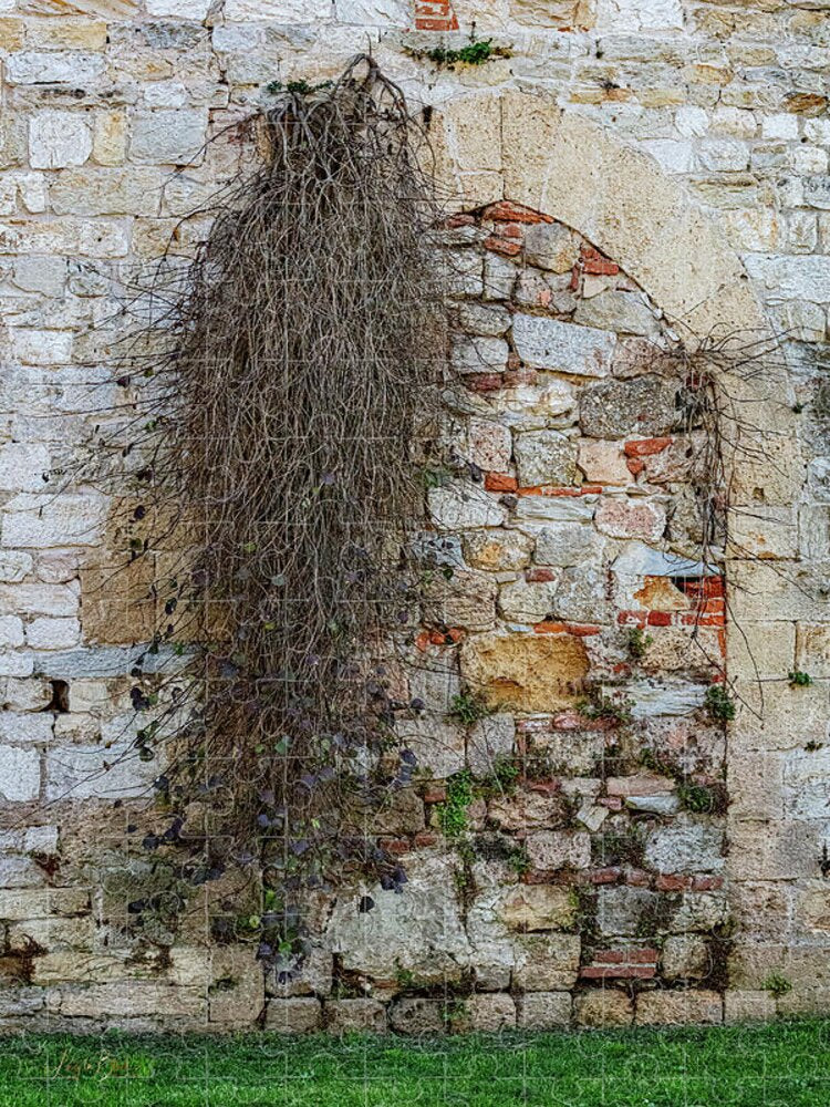 City Wall of Pisa - Puzzle