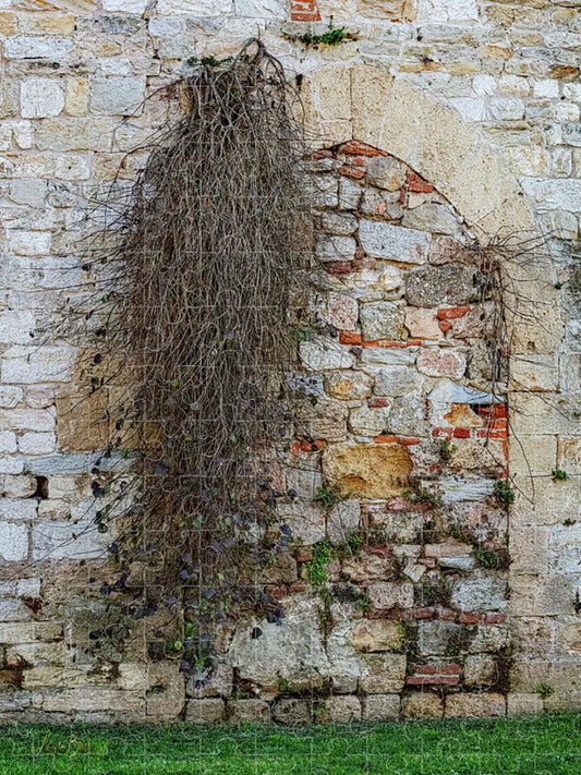 City Wall of Pisa - Puzzle