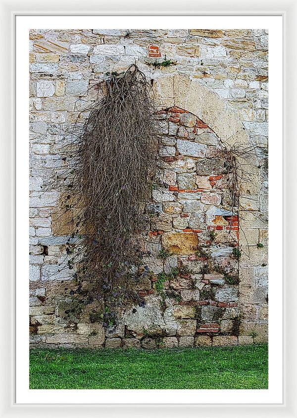 City Wall of Pisa - Framed Print