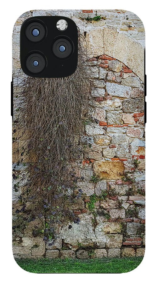 City Wall of Pisa - Phone Case