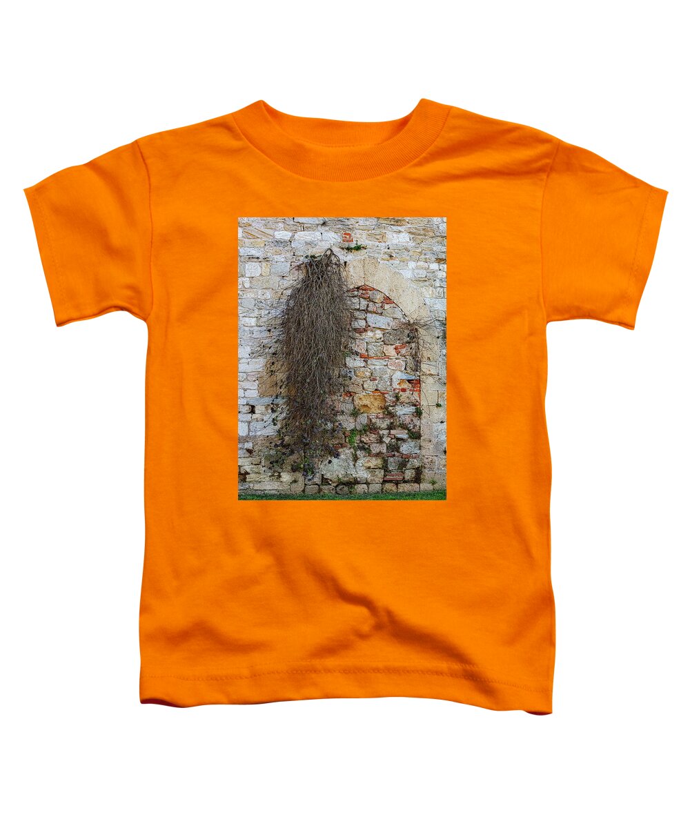 City Wall of Pisa - Toddler T-Shirt