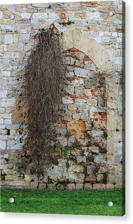 City Wall of Pisa - Acrylic Print