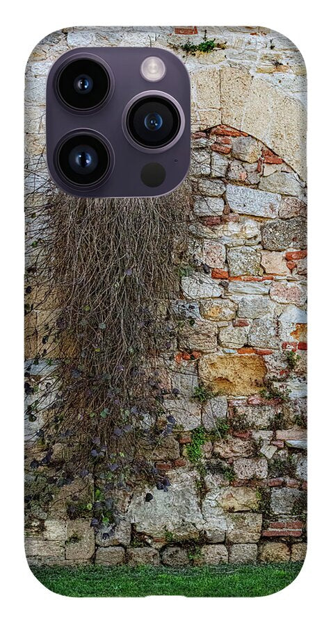 City Wall of Pisa - Phone Case
