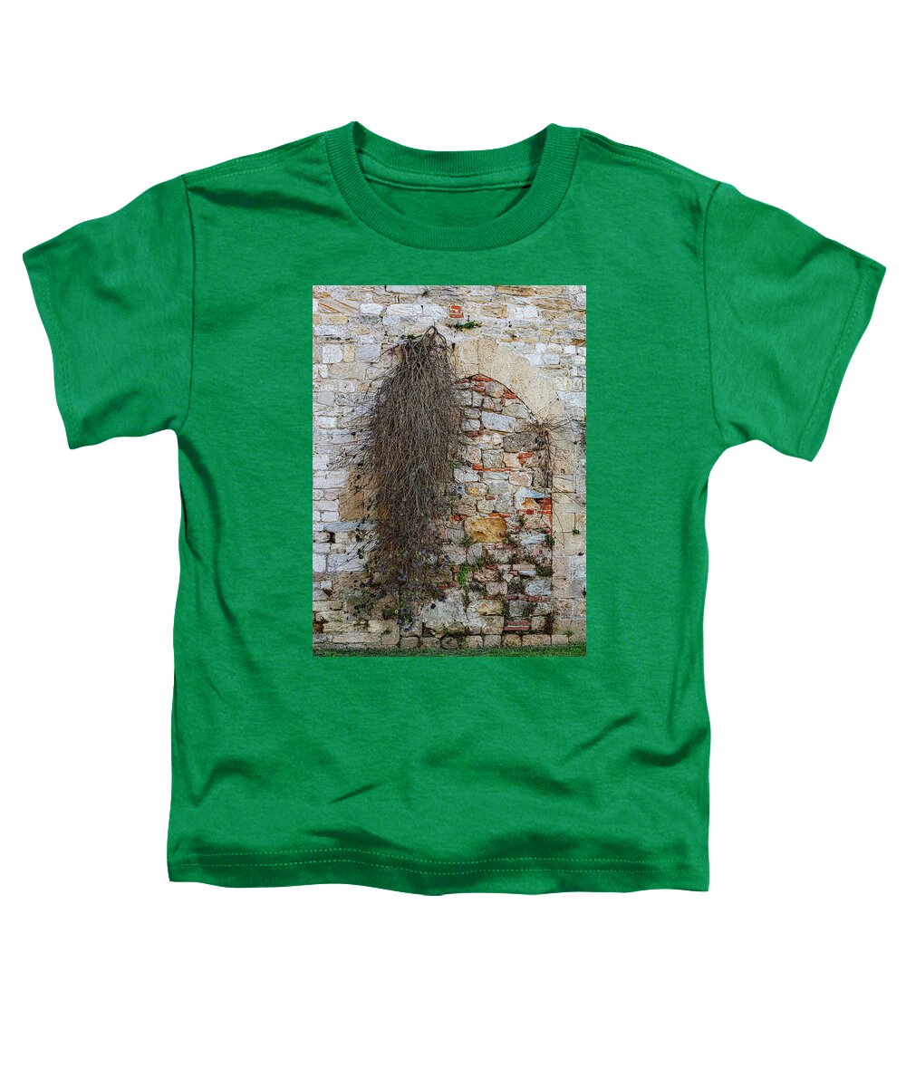 City Wall of Pisa - Toddler T-Shirt
