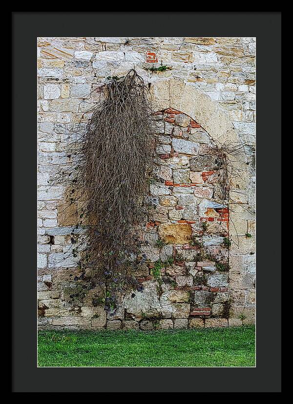 City Wall of Pisa - Framed Print
