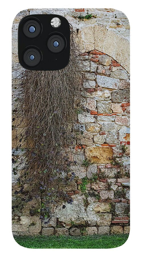 City Wall of Pisa - Phone Case