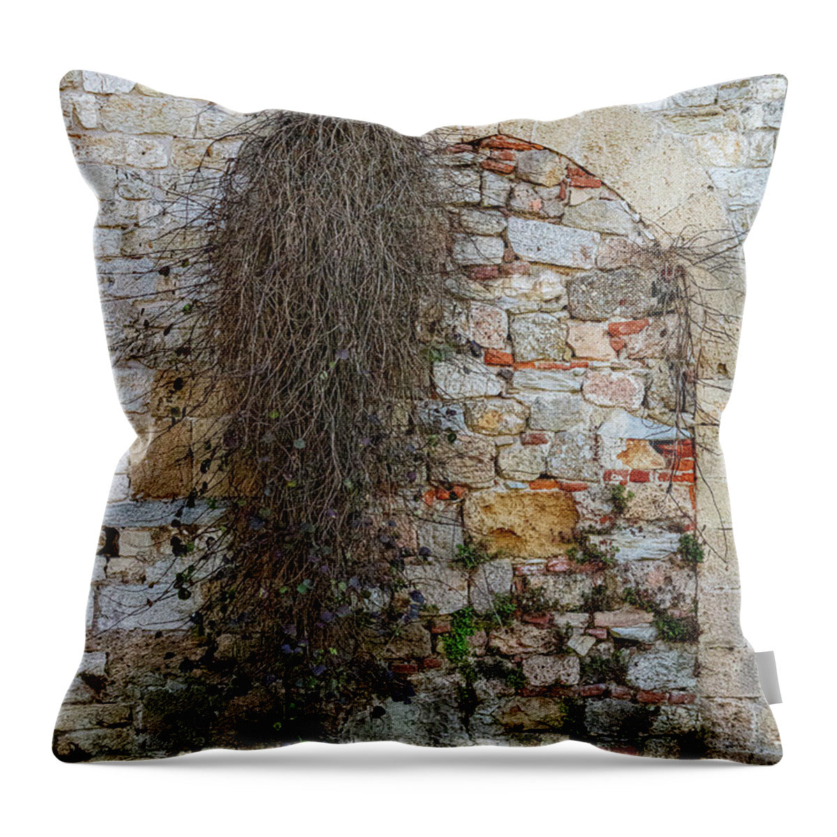 City Wall of Pisa - Throw Pillow