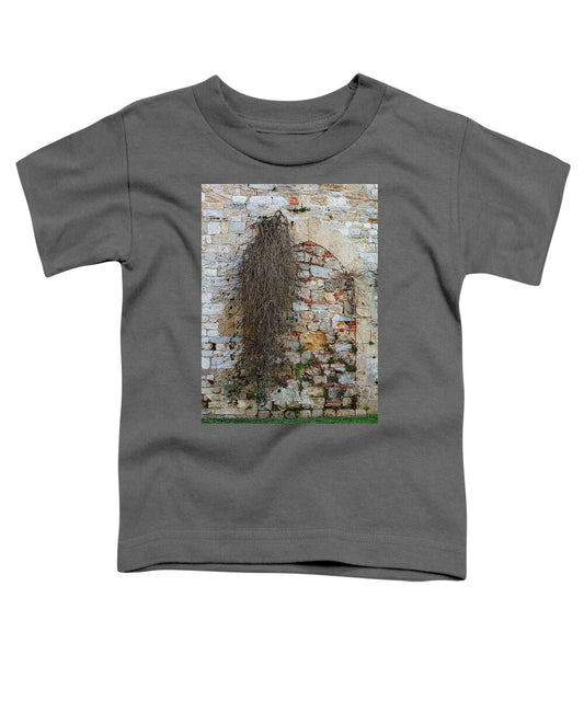 City Wall of Pisa - Toddler T-Shirt