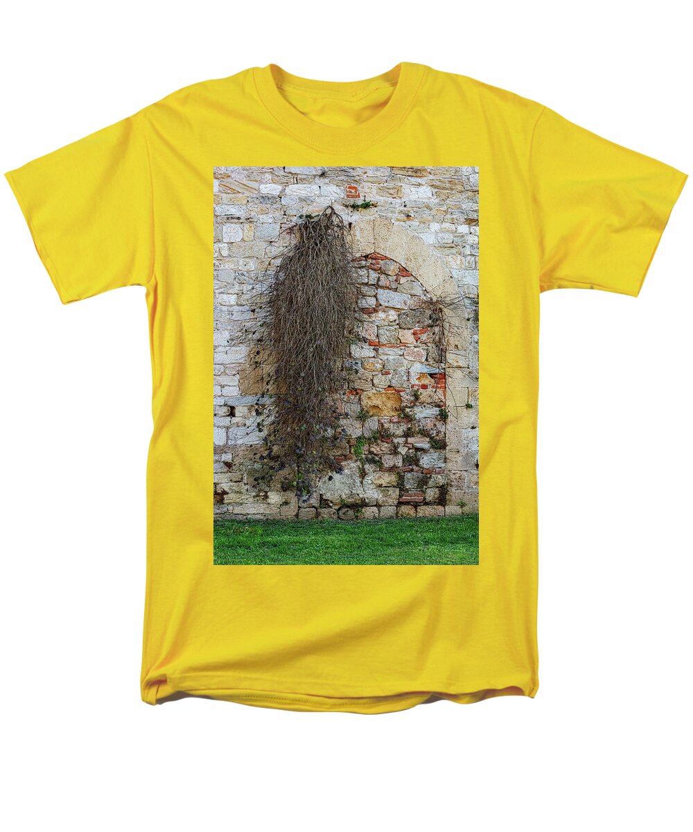 City Wall of Pisa - Men's T-Shirt  (Regular Fit)