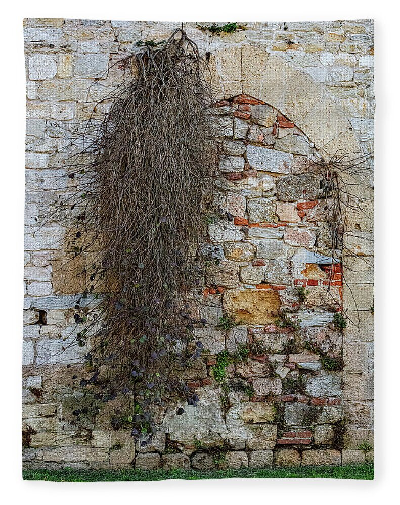 City Wall of Pisa - Blanket