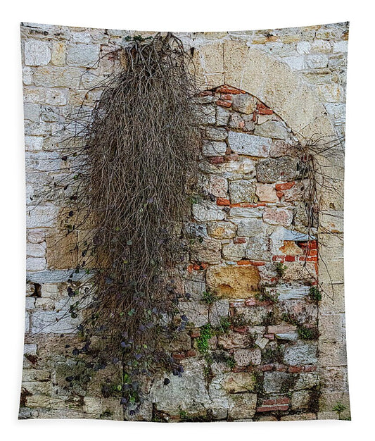 City Wall of Pisa - Tapestry