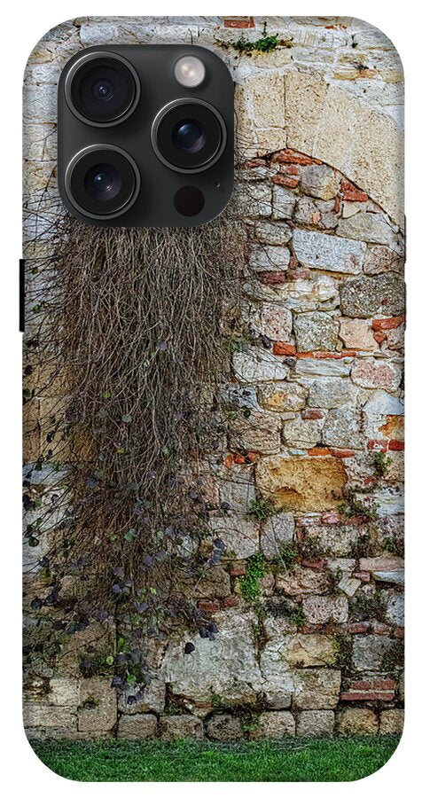 City Wall of Pisa - Phone Case