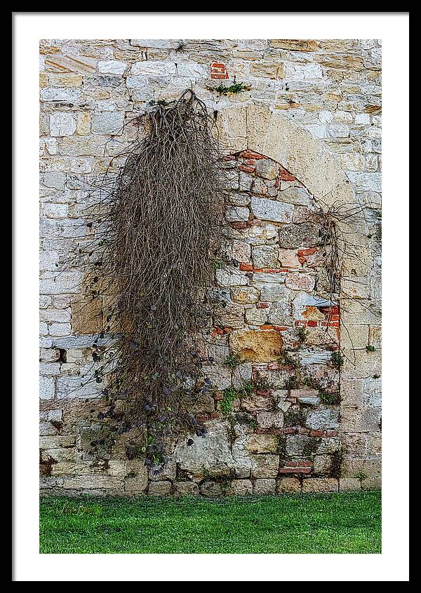 City Wall of Pisa - Framed Print