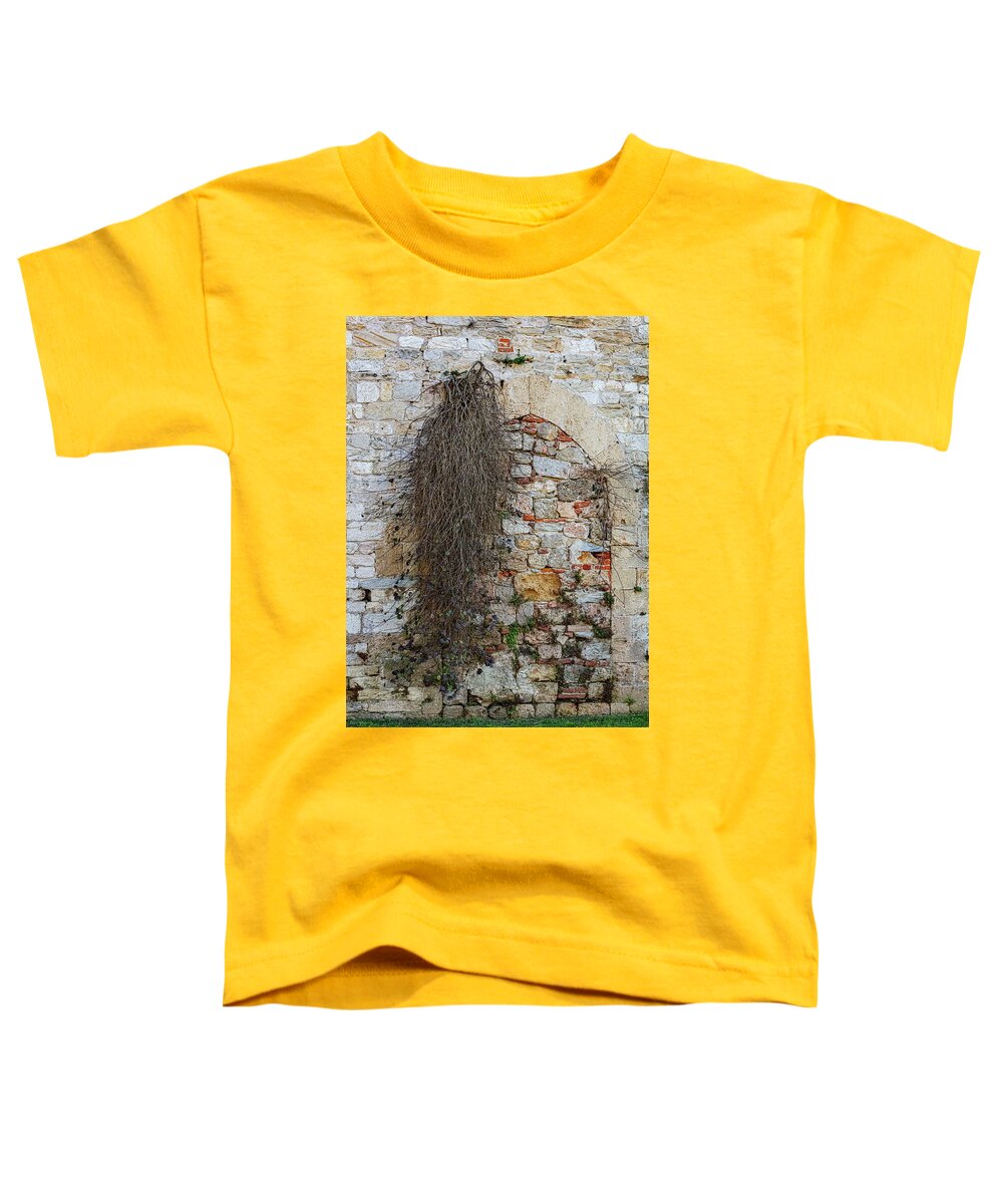 City Wall of Pisa - Toddler T-Shirt