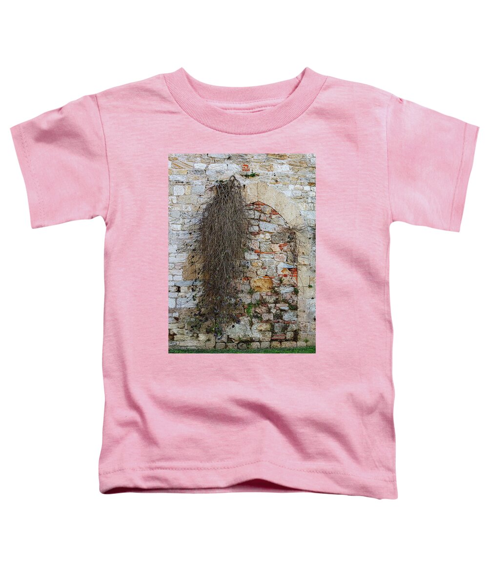 City Wall of Pisa - Toddler T-Shirt