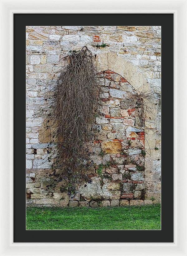 City Wall of Pisa - Framed Print