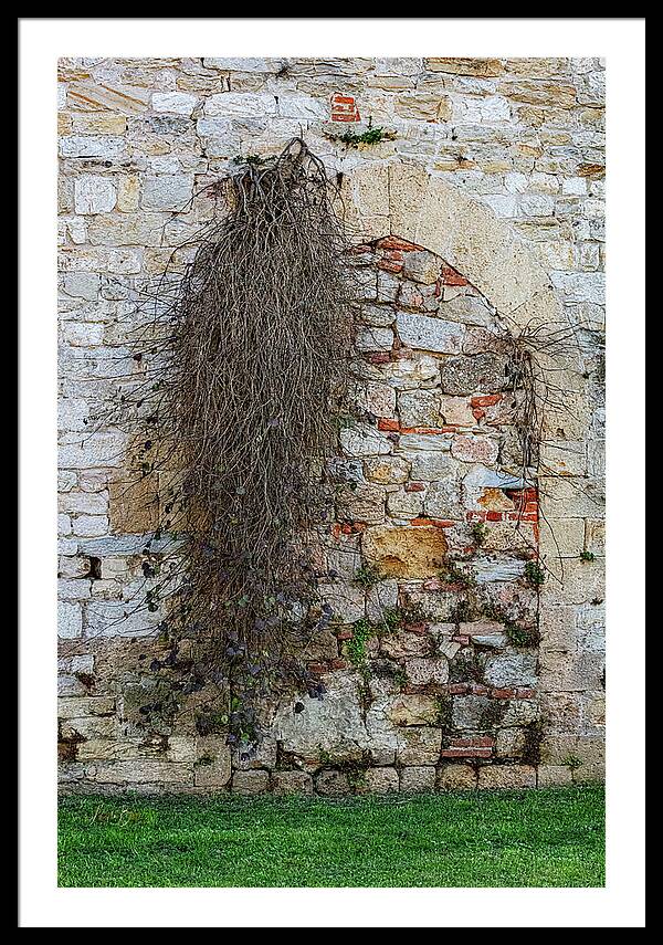 City Wall of Pisa - Framed Print