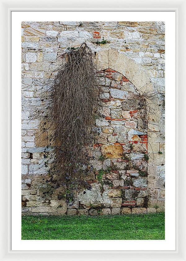 City Wall of Pisa - Framed Print