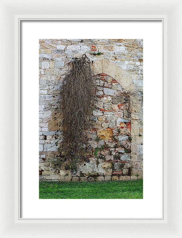 City Wall of Pisa - Framed Print