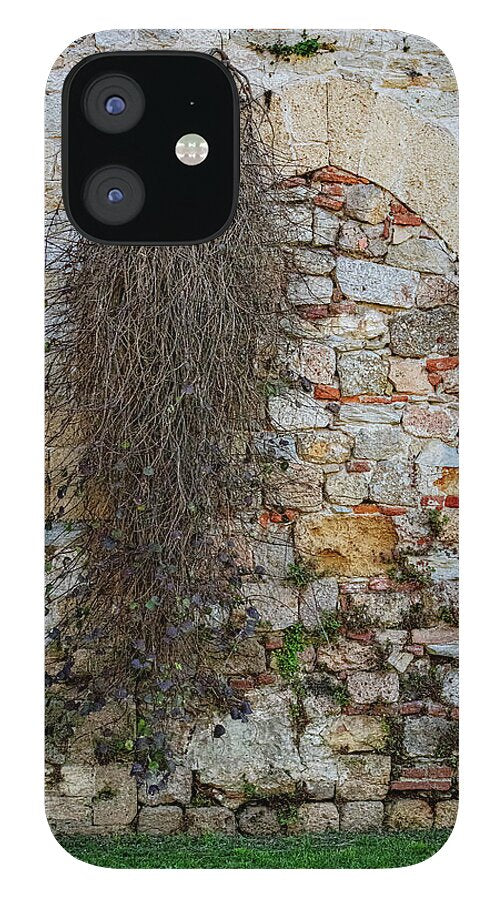 City Wall of Pisa - Phone Case