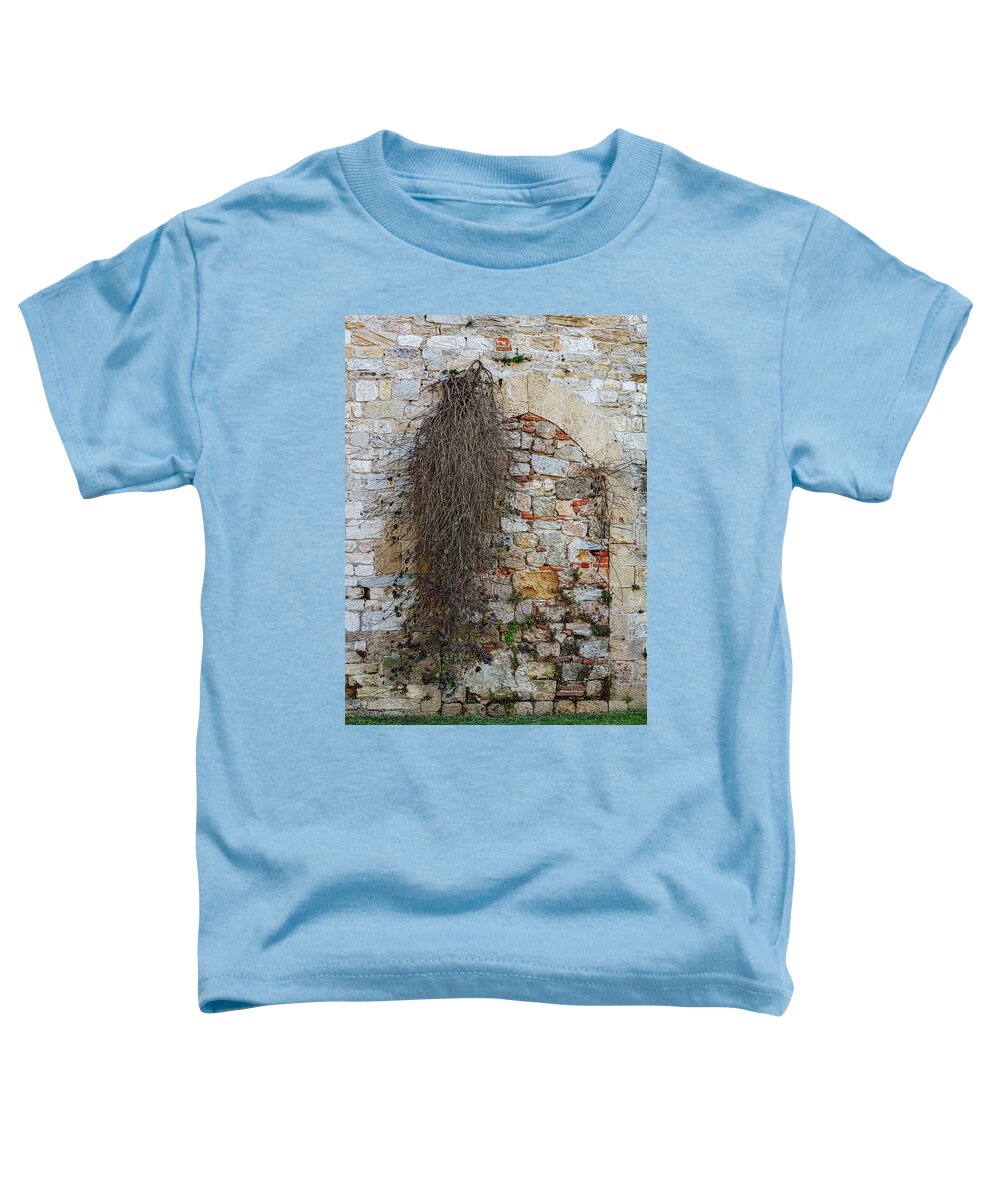 City Wall of Pisa - Toddler T-Shirt