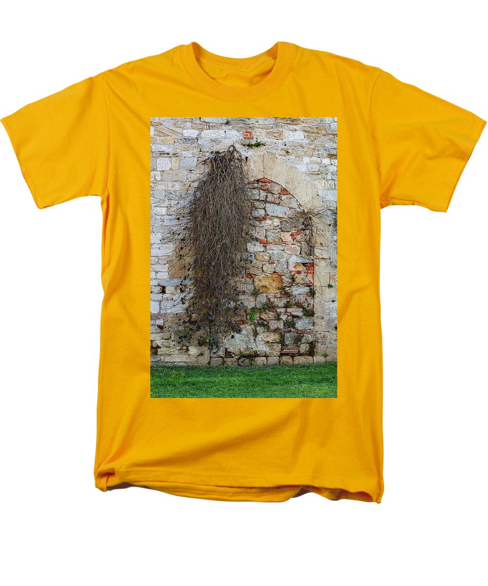 City Wall of Pisa - Men's T-Shirt  (Regular Fit)