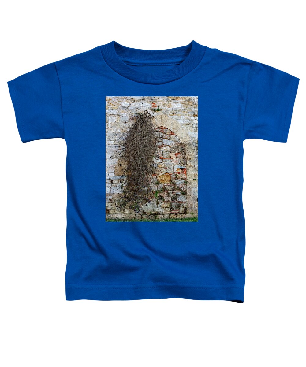 City Wall of Pisa - Toddler T-Shirt