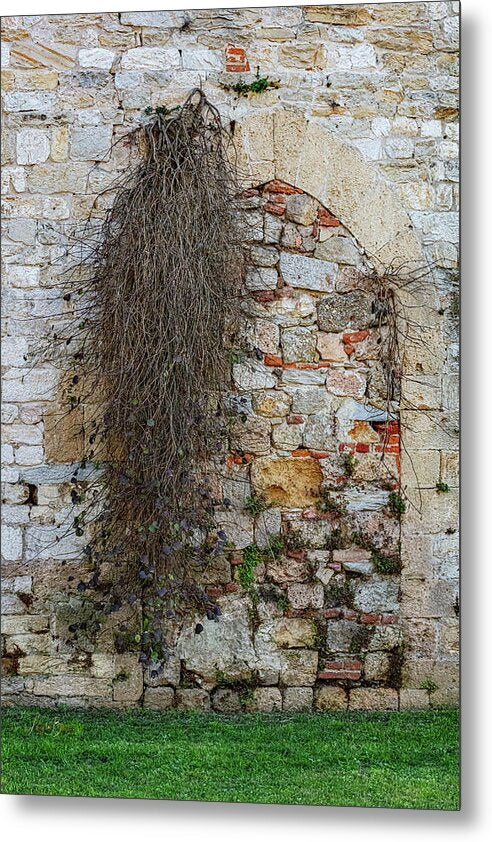 City Wall of Pisa - Metal Print