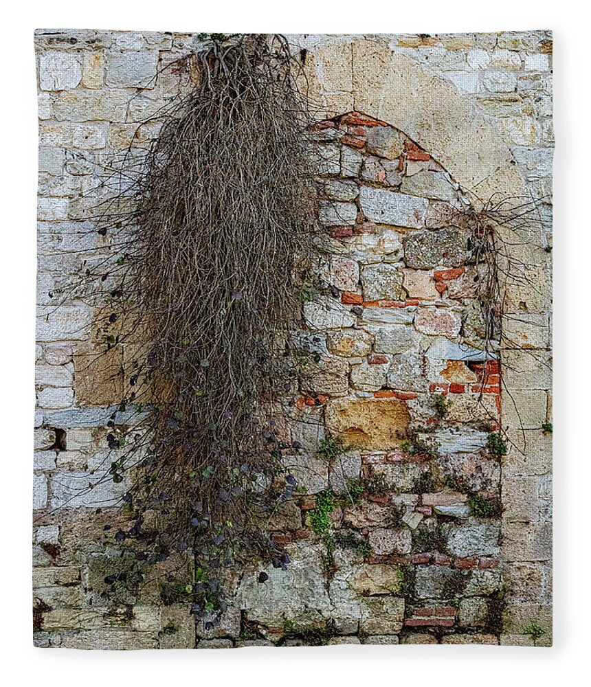 City Wall of Pisa - Blanket