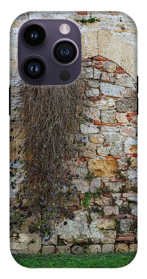 City Wall of Pisa - Phone Case