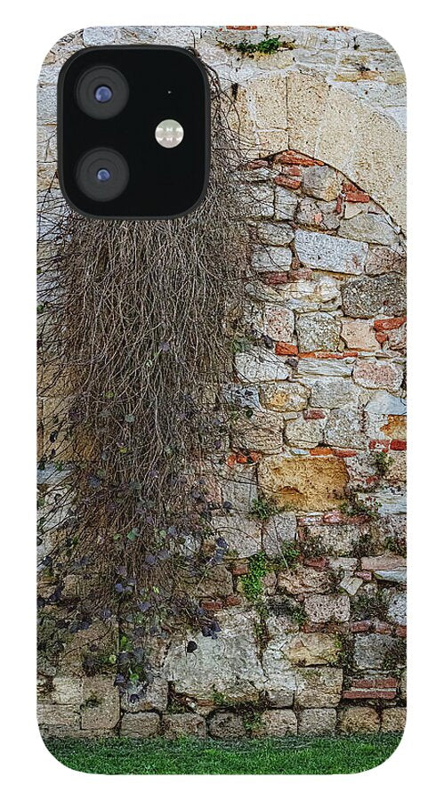 City Wall of Pisa - Phone Case