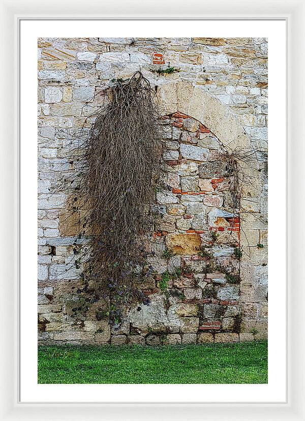 City Wall of Pisa - Framed Print