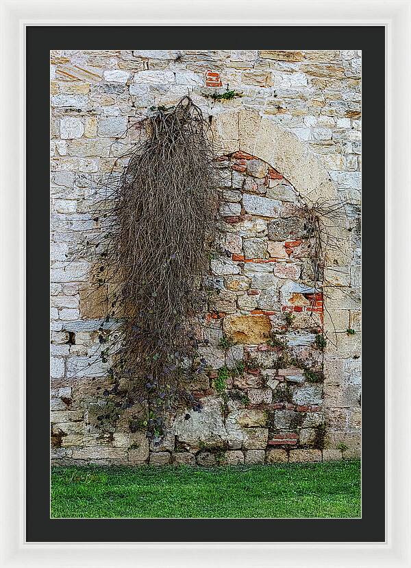 City Wall of Pisa - Framed Print
