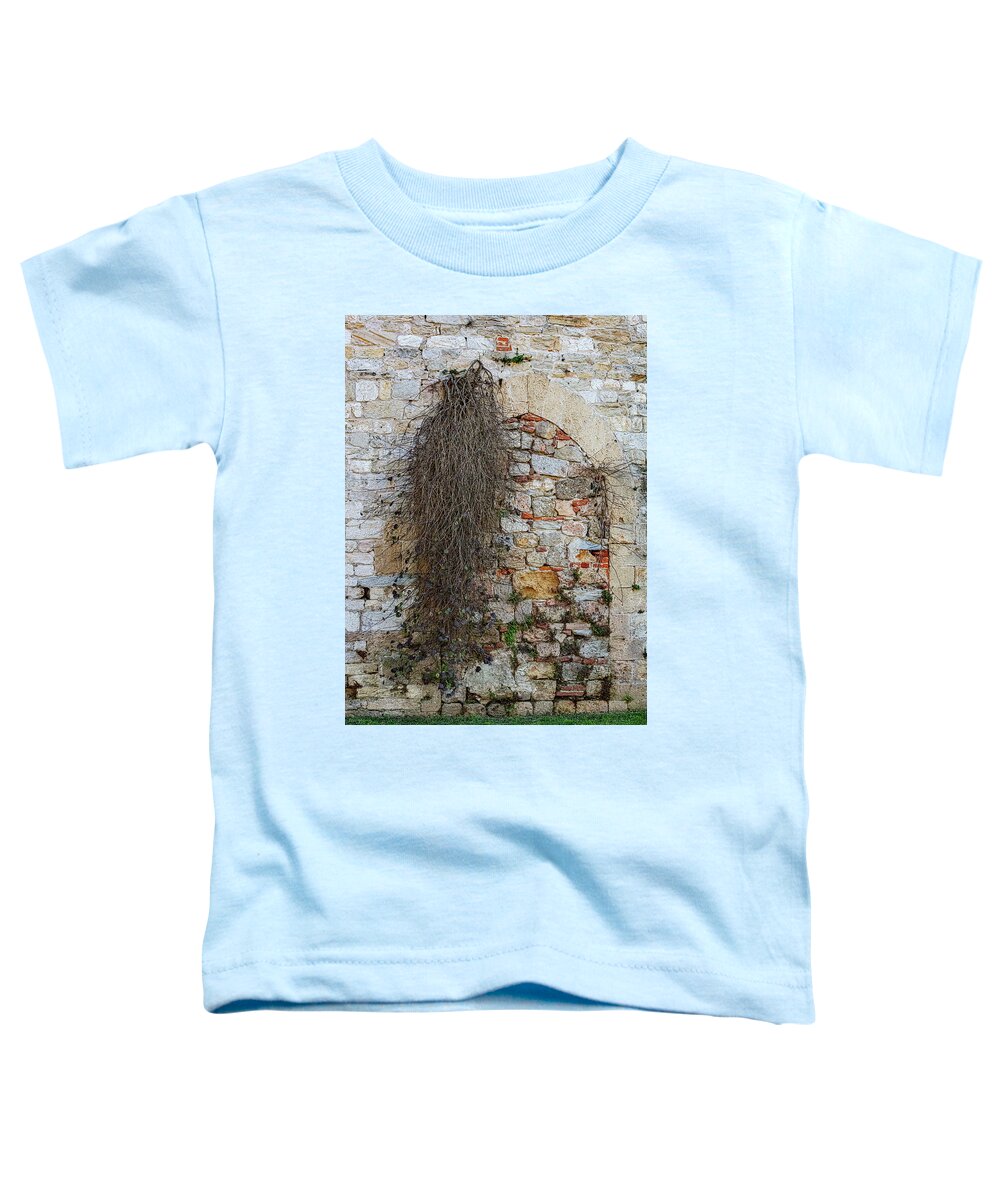 City Wall of Pisa - Toddler T-Shirt