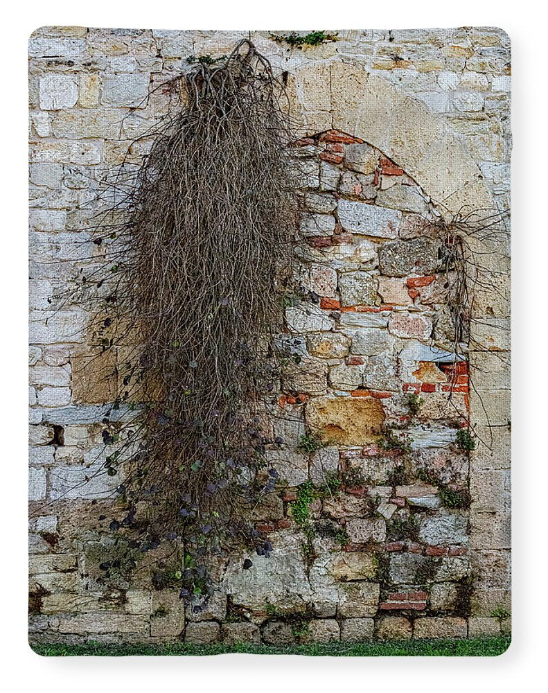 City Wall of Pisa - Blanket