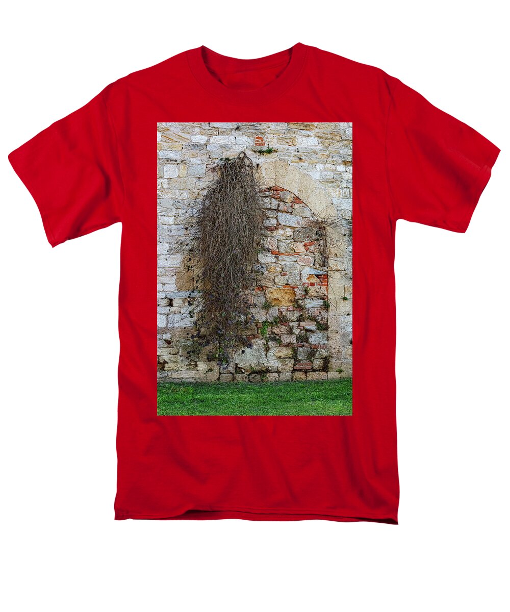 City Wall of Pisa - Men's T-Shirt  (Regular Fit)