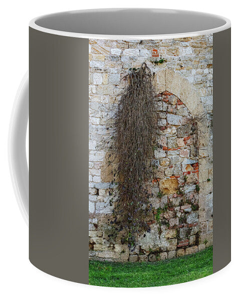City Wall of Pisa - Mug