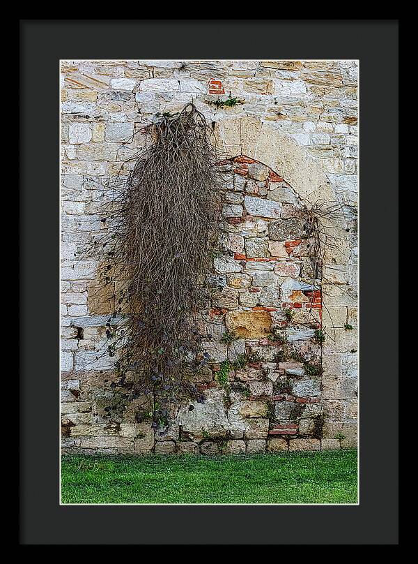 City Wall of Pisa - Framed Print