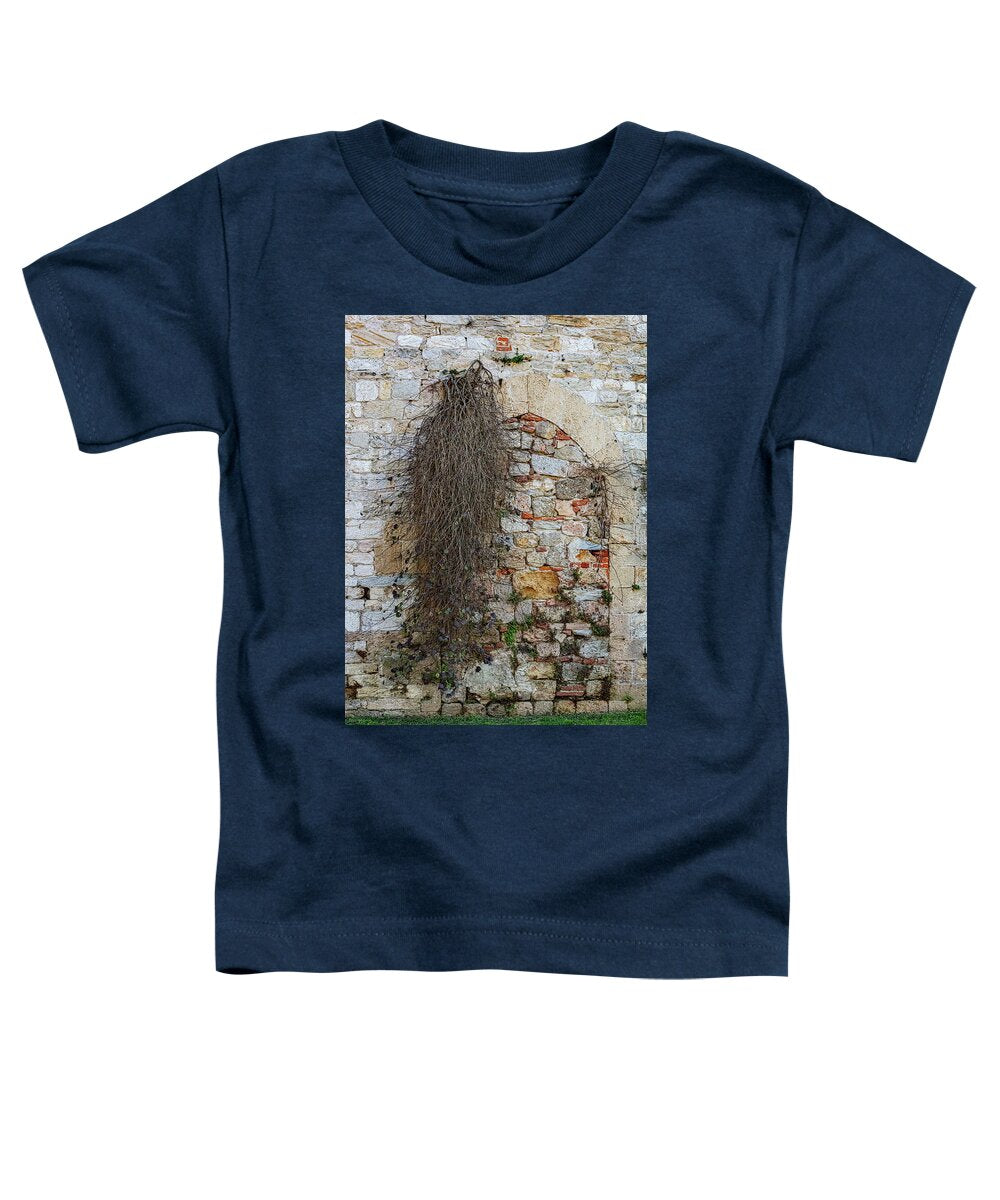 City Wall of Pisa - Toddler T-Shirt