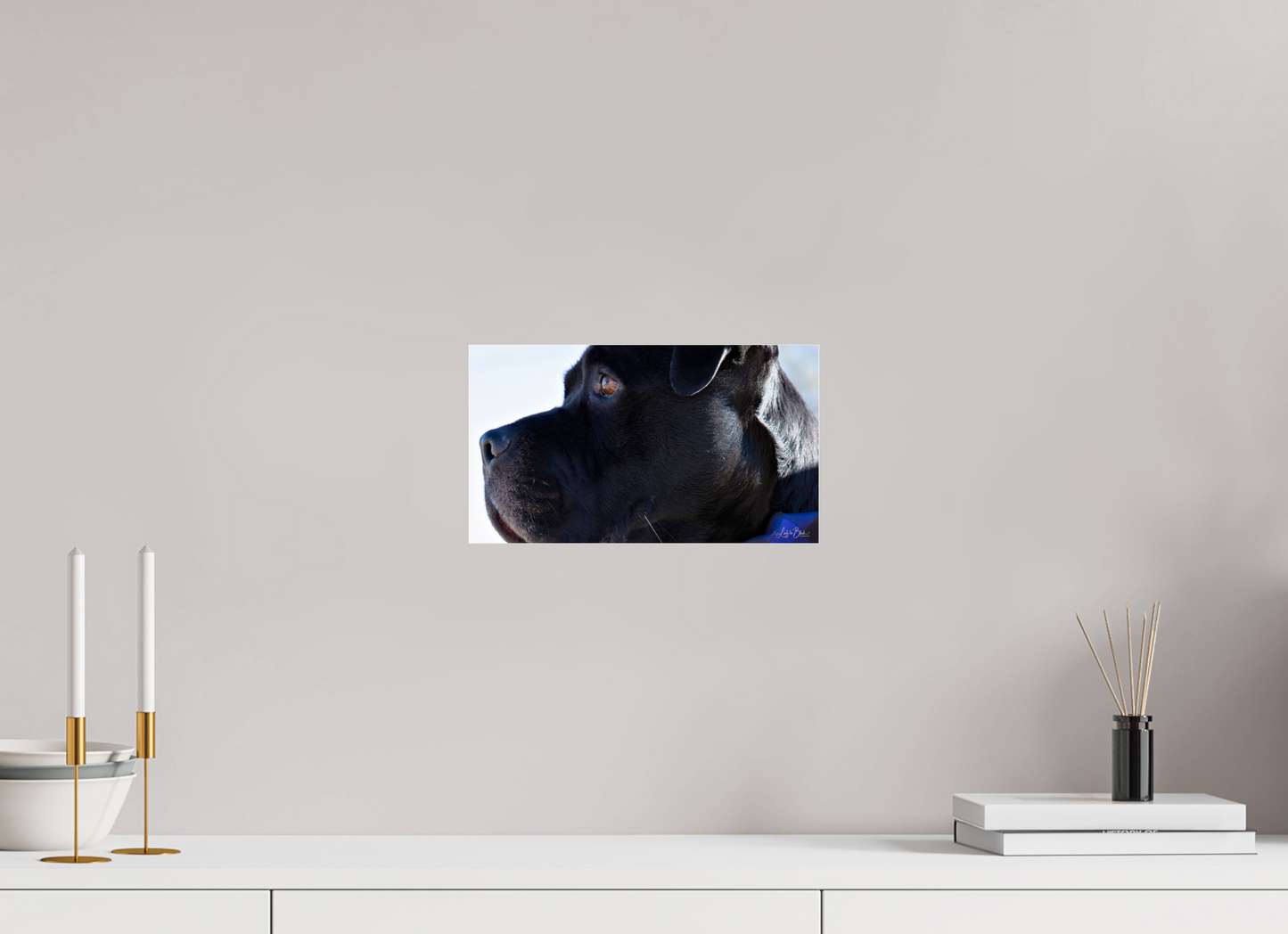 12 x 6.8″, Photo Print Under Acrylic Glass Leo