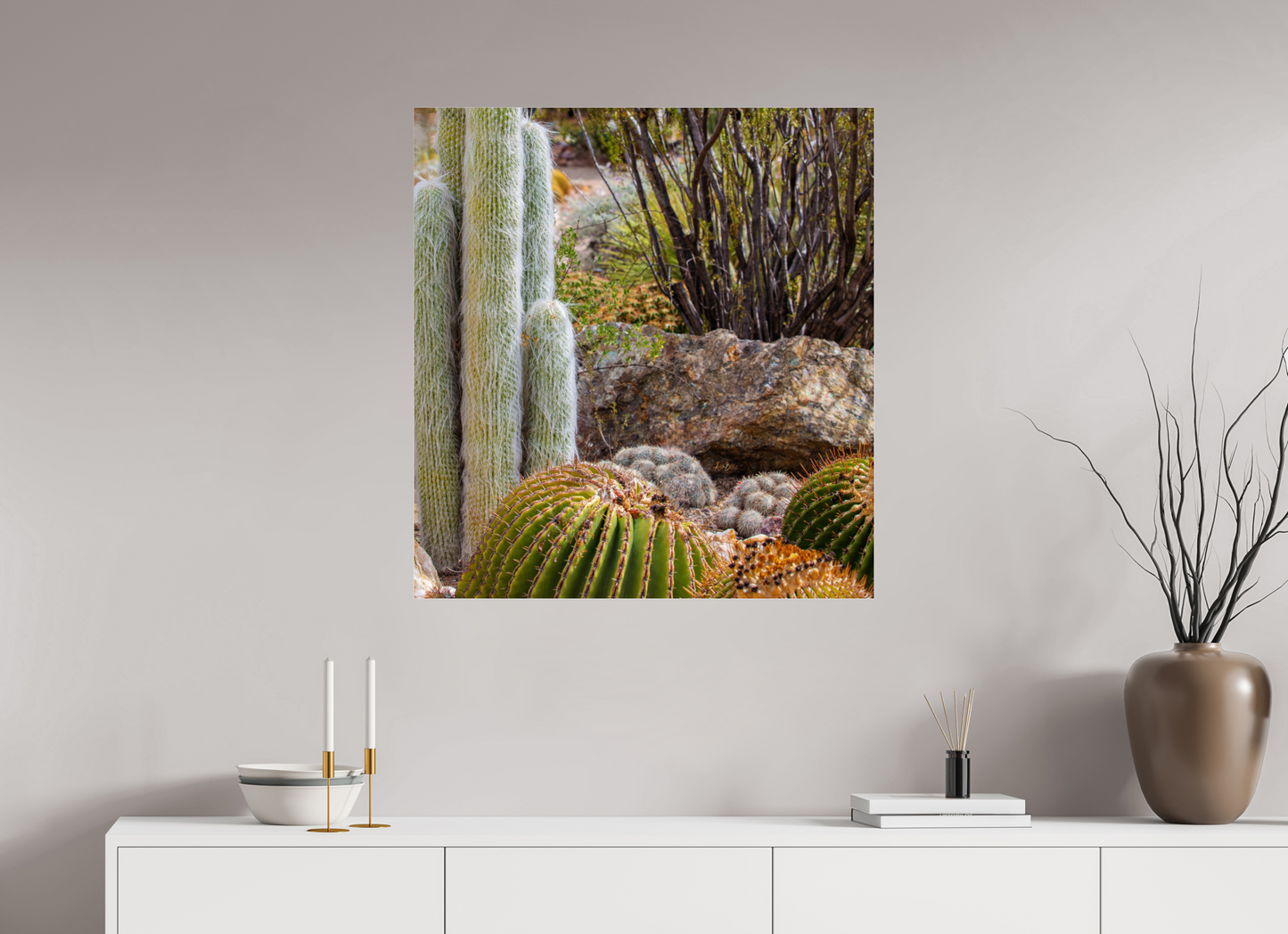 31 x 33.1″, Photo Print Under Acrylic Glass Cacti III Closeup