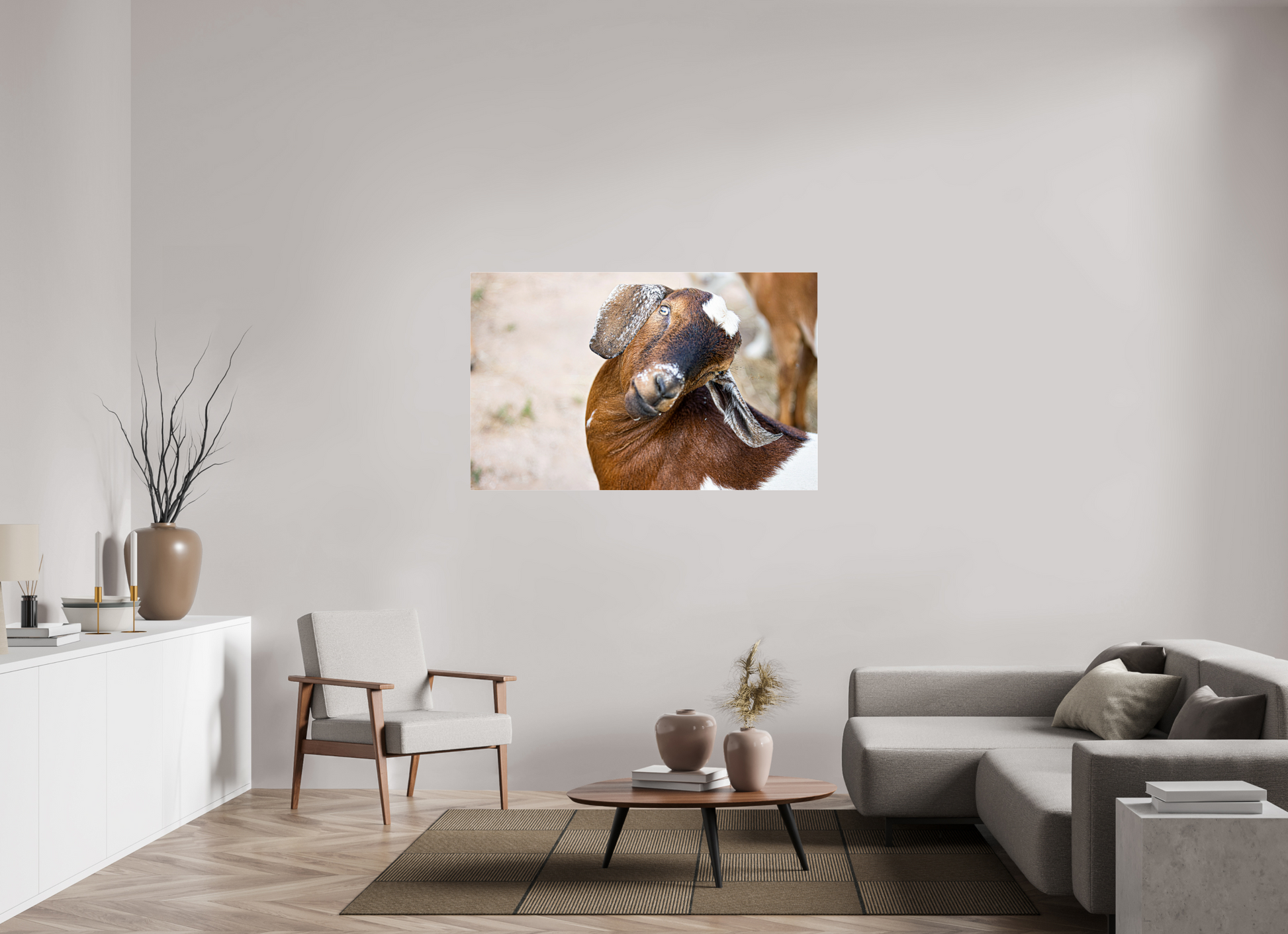 55.7 x 35″, Photo Print Under Acrylic Glass Goat Cheeeese