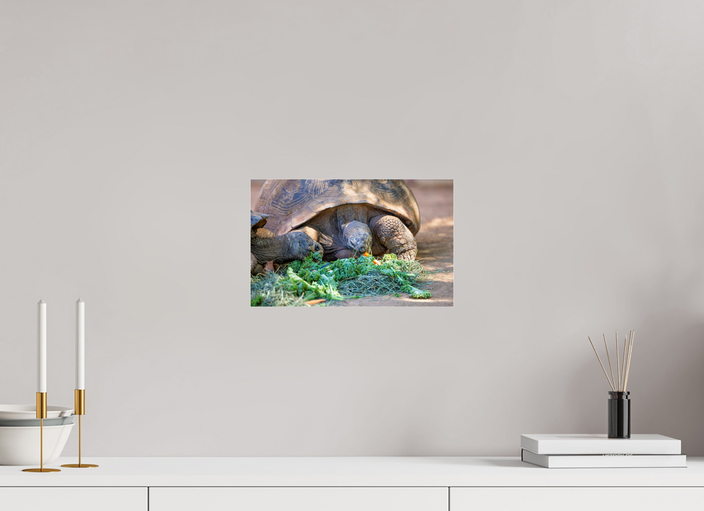 12.8 x 8″, Photo Print Under Acrylic Glass Eat Your Vegetables