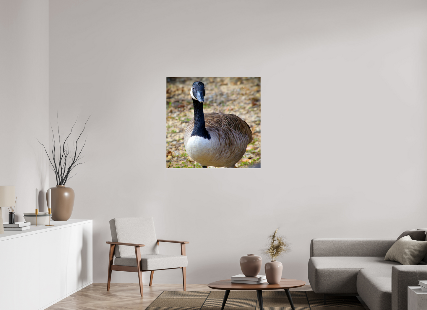 36.1 x 35″, Photo Print Under Acrylic Glass Lake Rim Goose