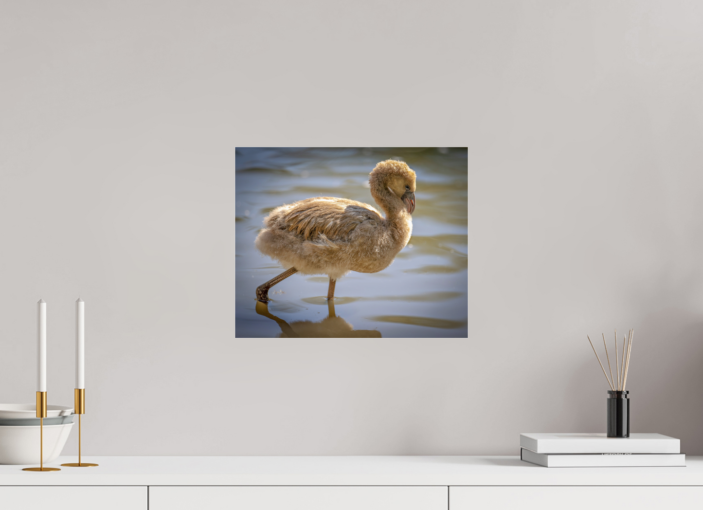 14.6 x 12″, Photo Print Under Acrylic Glass Baby Flamingo