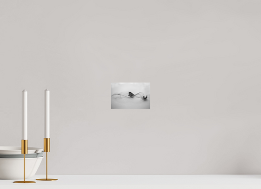 6 x 4″, Photo Print Under Acrylic Glass Leaf Left B/W