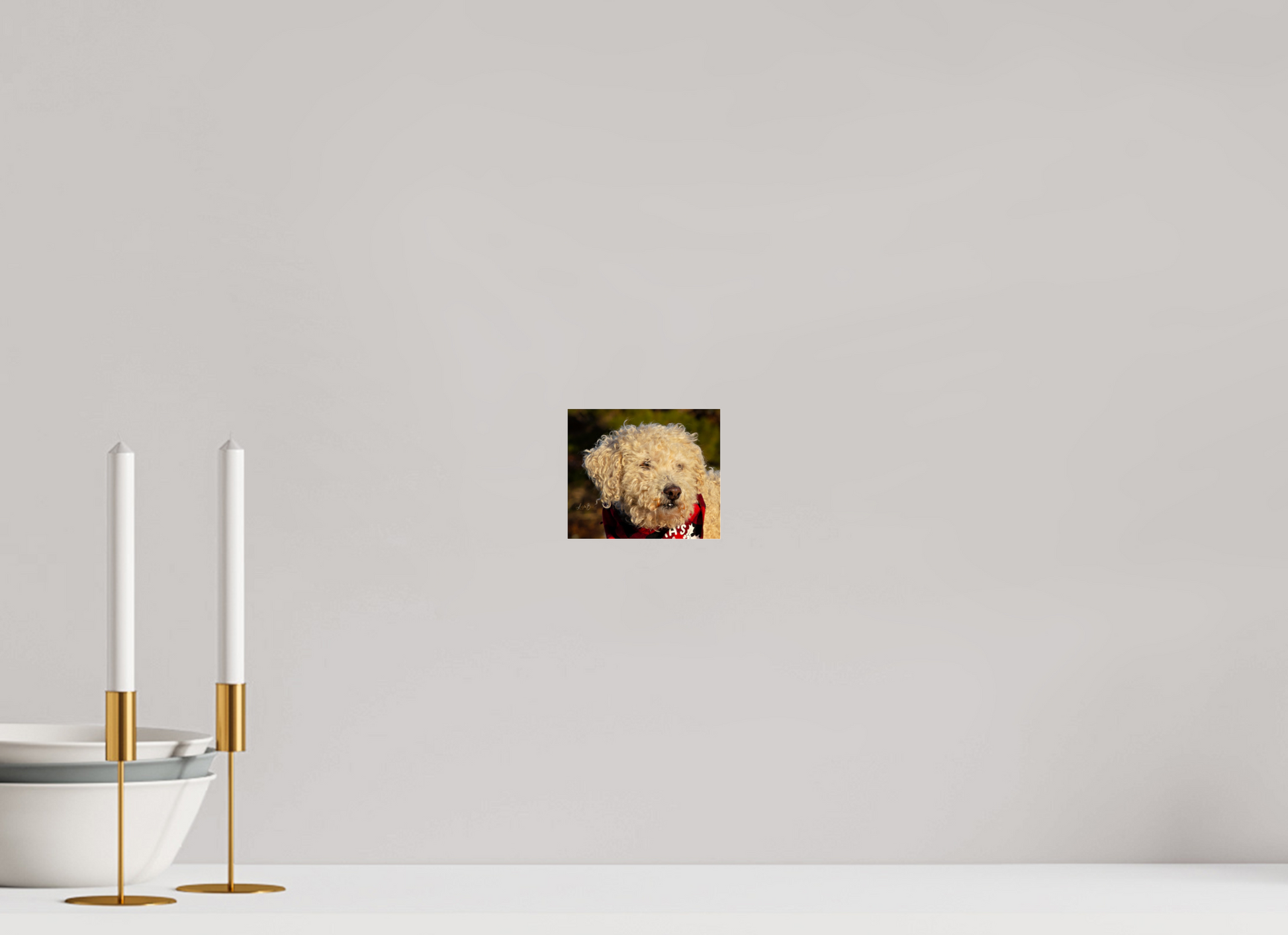 4.7 x 4″, Photo Print Under Acrylic Glass Fufu